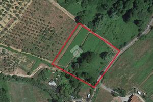 TER. AGRICOLO A PIEVE A NIEVOLE