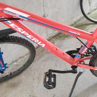 bicicletta 24 pollici 9-12 anni