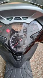 Honda sh 300i immatricolato 2014