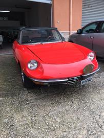 spider duetto Alfa Romeo