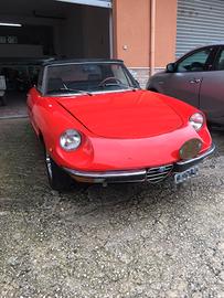 spider duetto Alfa Romeo