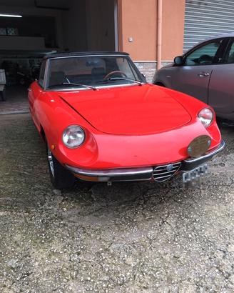 spider duetto Alfa Romeo