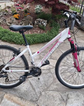 Bicicletta