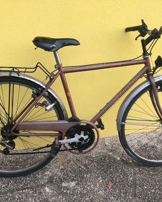 Bicicletta con cambio