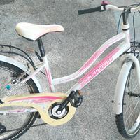 Bici da ragazza misura 24