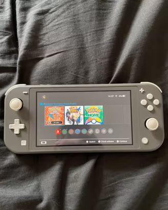 Nintendo switch lite