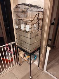 gabbia uccelli 