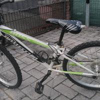 Bici Ragazzo 24