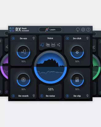 PLUGIN AUDIO IZOTOPE RX10 ELEMENT / LICENZA origin