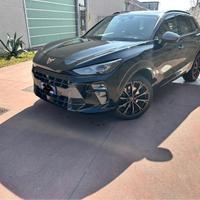 nuovo prezzo   41000