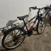 Bicicletta per ragazzi da 24.