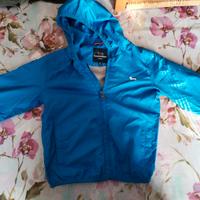 giubbino harmont & blaine 