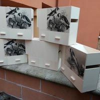 Soffiasemi depolverizzatore per uccelli