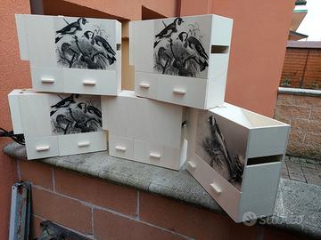 Soffiasemi depolverizzatore per uccelli