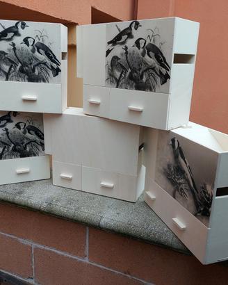 Soffiasemi depolverizzatore per uccelli