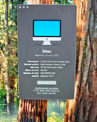 iMac 21.5 2017 retina 4k