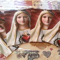 Foto cartoline grandi per cornici