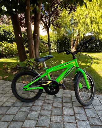 Bici bambino