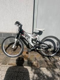 Bici Viking