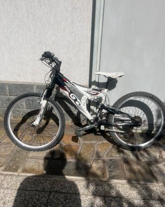 Bici Viking