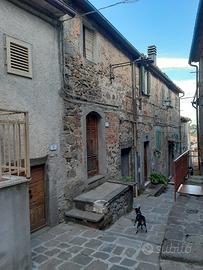 Casa ad Arcidosso (GR)