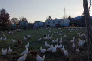 Azienda agricola capannone