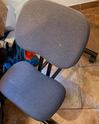 Sedia Posturale IKEA EIFRED