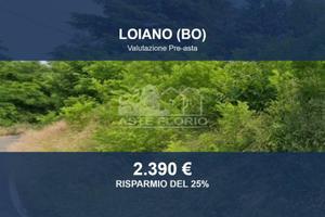 Immobile in asta di 12887 m² a Loiano