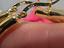 Immagine 4