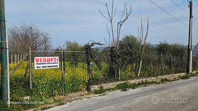 Terreno edificabile