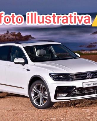 Ricambi WW Tiguan Rline 2017