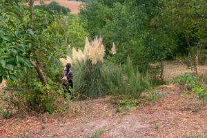 Terreno agricolo a Pesaro, zona Montegranaro,