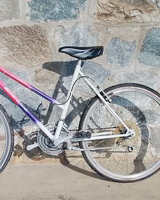 Mountain-bike