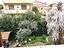 Immagine 4