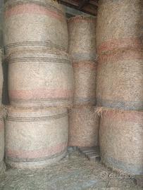 Rotoballe di erba medica