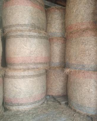 Rotoballe di erba medica