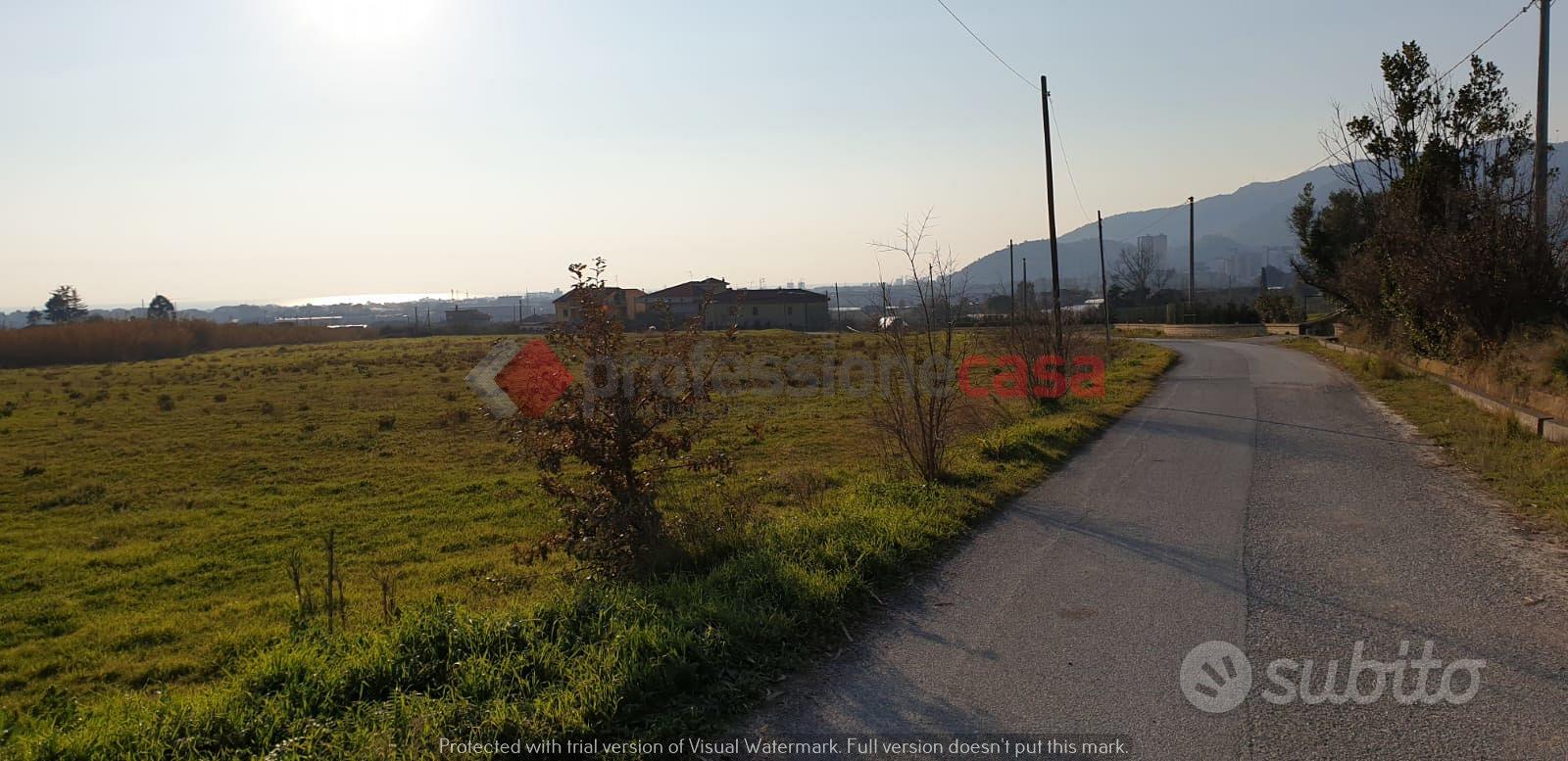 Pontecagnano faiano- terreno agricolo - Vista 5