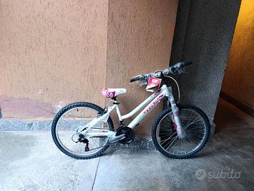 Bicicletta 