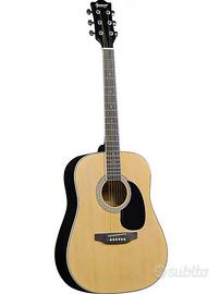 Chitarra Acustica "Eko"