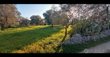 Terreno Ostuni