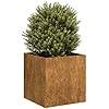 Fioriera da Giardino 50x50x50 cm in Acciaio Corten
