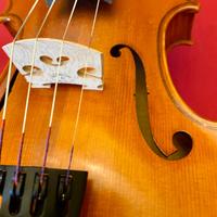 Violino di liuteria 4/4 (no etichetta)