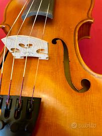 Violino di liuteria 4/4 (no etichetta)