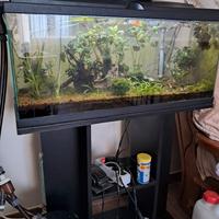 acquario con mobiletto