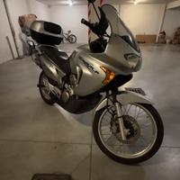 Honda transalp 650