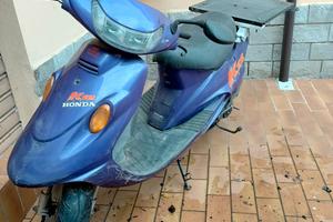 Kymco K 12 50 - 1996