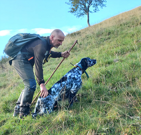 Cucciolone di Setteringlese 21 meai
