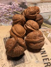 Noce tripartita rara