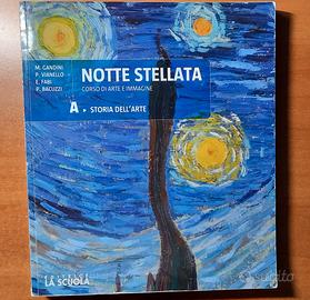 Notte stellata - Storia dell'arte