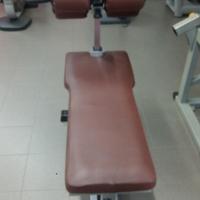 Panca crunch Technogym 